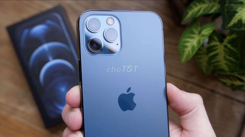 Apple iPhone 12 Pro Max 256GB Xanh Đã thay pin. Mua bán Điện thoại tại Thị xã Duy Tiên Hà Nam được đăng bởi Trungdvt hình 1