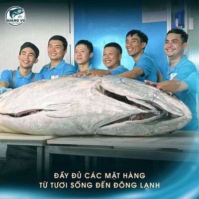 TÀI XẾ XE VAN TẢI