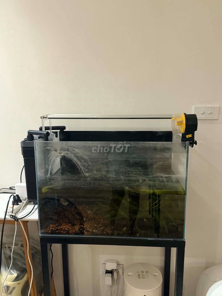 Bể cá cảnh 40x60 Khung, lọc, đèn. Mua bán Phụ kiện, Thức ăn, Dịch vụ tại Quận Ba Đình Hà Nội được đăng bởi Phương Nhung hình 1