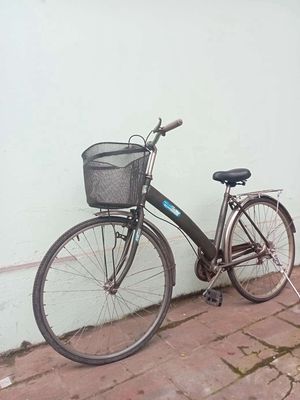 Xe đạp stan