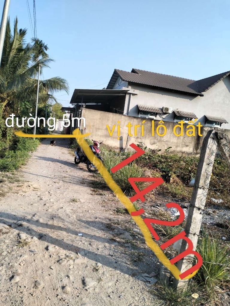 ĐẤT NHÀ VƯỜN CẦU NGANG CẦN BÁN