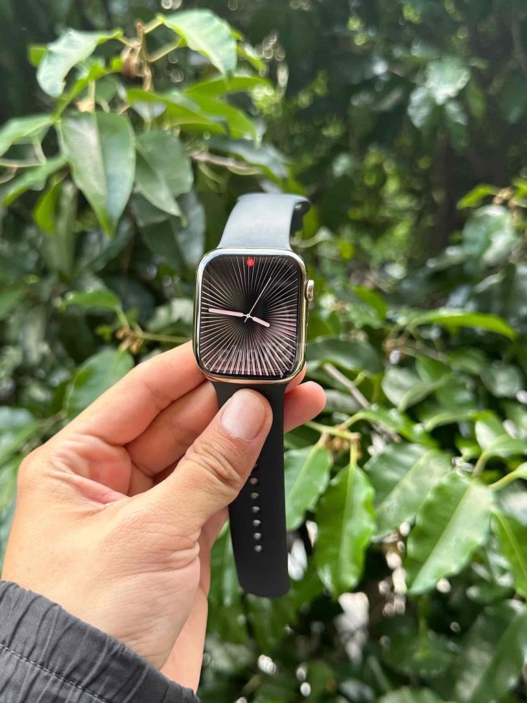 Apple Watch Series 7 45mm Thép Gold