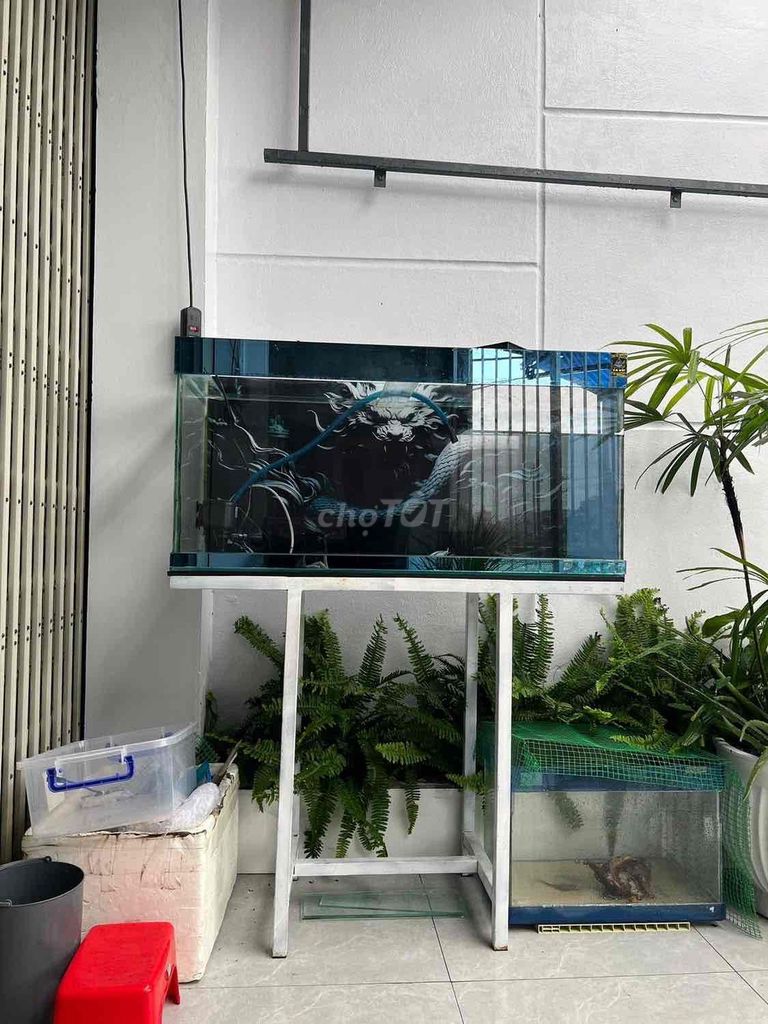 Bể cá cảnh Kính 1m x 40cm x 50cm. Mua bán Phụ kiện, Thức ăn, Dịch vụ tại Thành phố Vĩnh Long Vĩnh Long được đăng bởi huyle hình 1