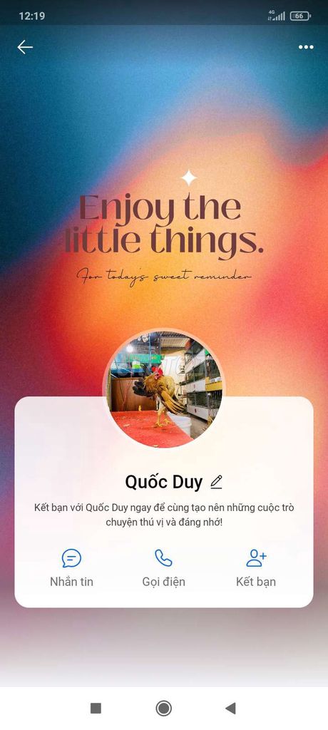 Gà chọi đực Vàng Đen. Mua bán Gà tại Quận Thốt Nốt Cần Thơ được đăng bởi gà tre Bắc  hình 1