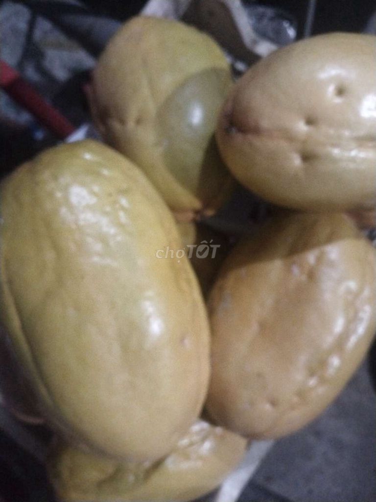 Dưa tây nhà trồng. Mua bán Đồ ăn, thực phẩm và các loại khác tại Huyện Trảng Bom Đồng Nai được đăng bởi Thành Nguyễn hình 1