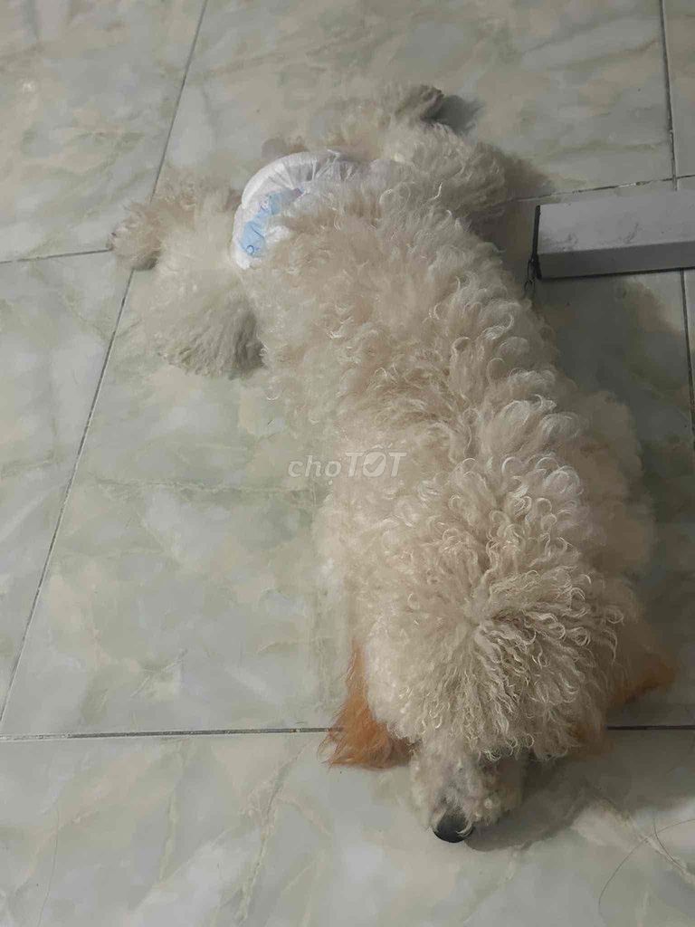 em làm ct nền không cọ thời gian chằm xóc bé ạ