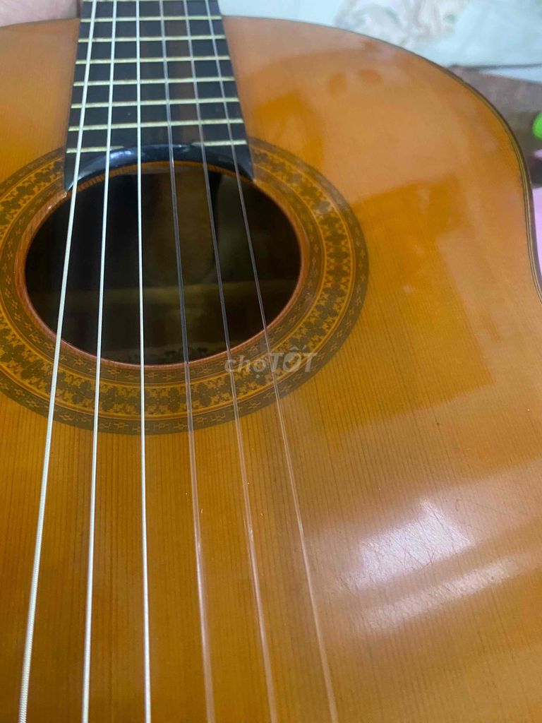 guitar classic Matsuoka M60, sx 1982 có chỉ cần