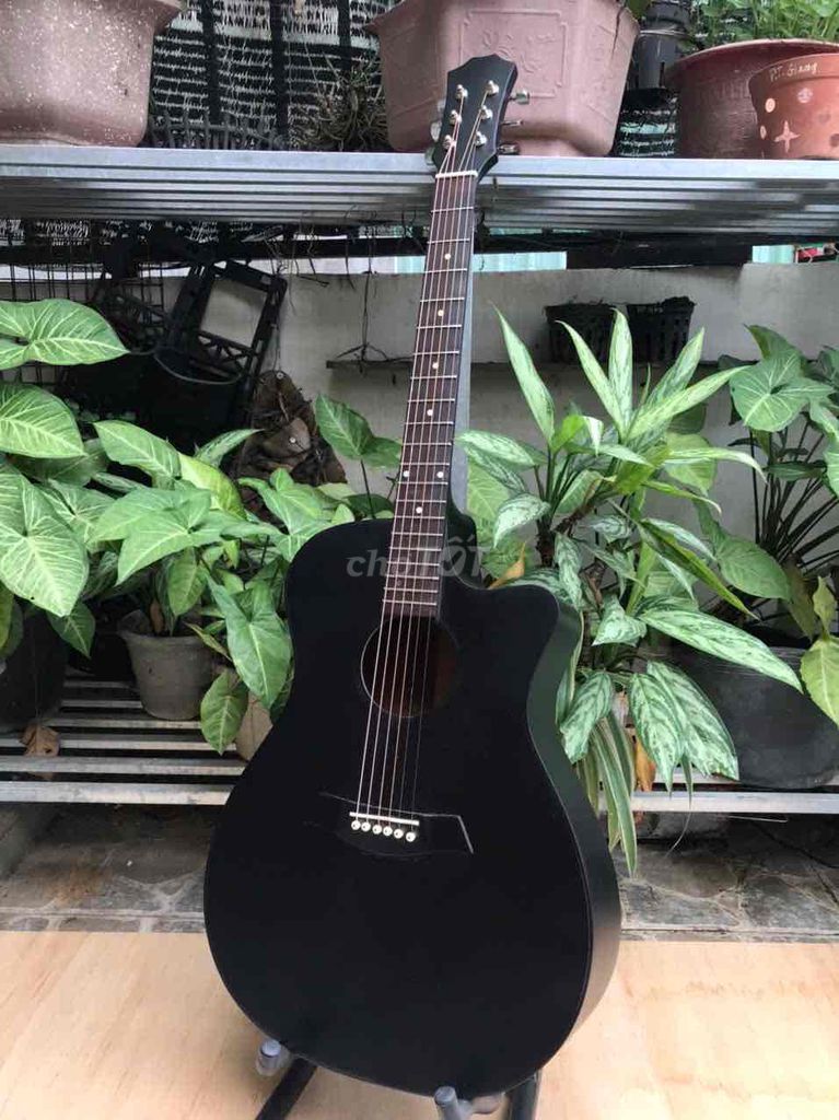 Thanh lý guitar gỗ mahogany dáng A