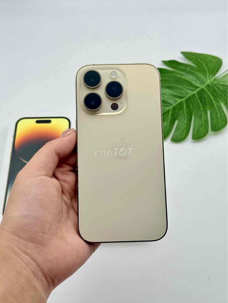 iPhone 14 Pro 256GB Gold FULLBOX BH APPLE 06/2024. Mua bán Điện thoại tại Quận 10 Tp Hồ Chí Minh được đăng bởi iStockHCM hình 1