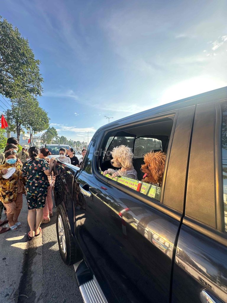 Mazda BT 50 2014 2.2L 4x2 AT - 203000 km. Mua bán Ô tô tại Thành phố Thuận An Bình Dương được đăng bởi Thịnh Huỳnh hình 5