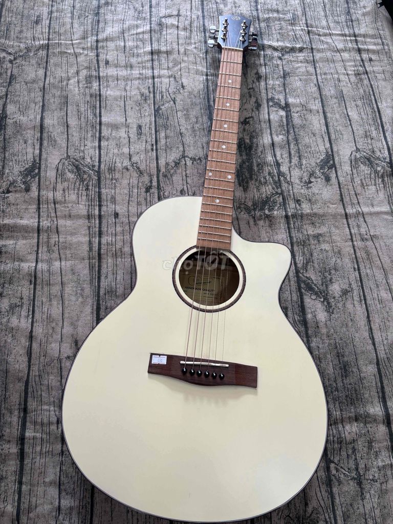 Đàn Guitar Acoustic Giá Rẻ Tập Chơi