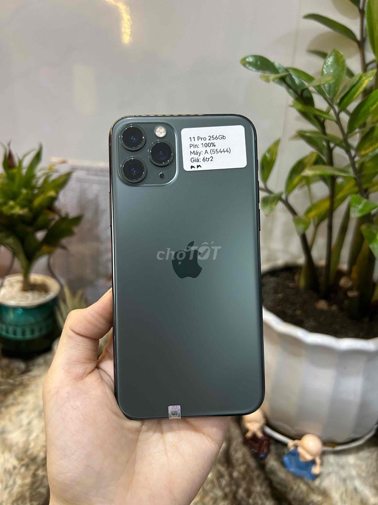 iPhone 11 Pro 256GB Xanh Rêu Zin Đẹp 99 IOS 16.6.1. Mua bán Điện thoại tại Huyện Hóc Môn Tp Hồ Chí Minh được đăng bởi SIRI STORE HCM hình 1