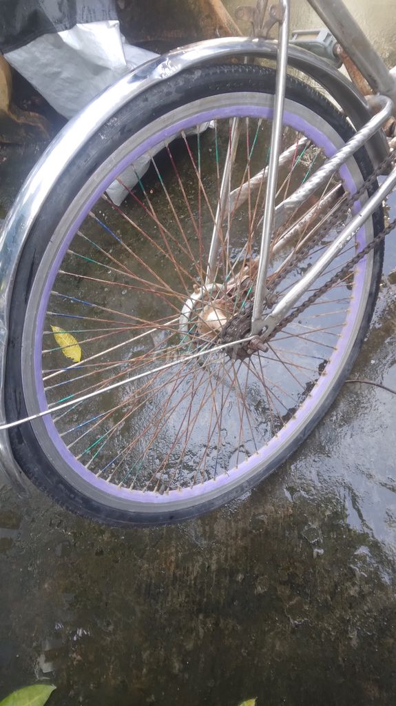 Bán nhanh xe đap 250k. Mua bán Xe đạp tại Thành phố Bạc Liêu Bạc Liêu được đăng bởi Hùng hình 4