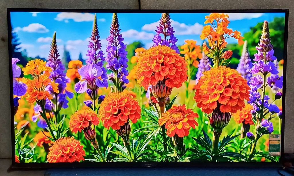 Smart tivi Sony 50 inch 4k đẹp nét loa siêu hay