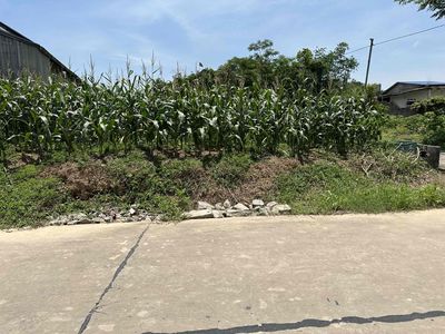⭐️BÁN LÔ ĐẤT RỘNG 434m2 TẠI XÃ ĐẠI PHÚC: T 434m2, Có 110m2 thổ cư