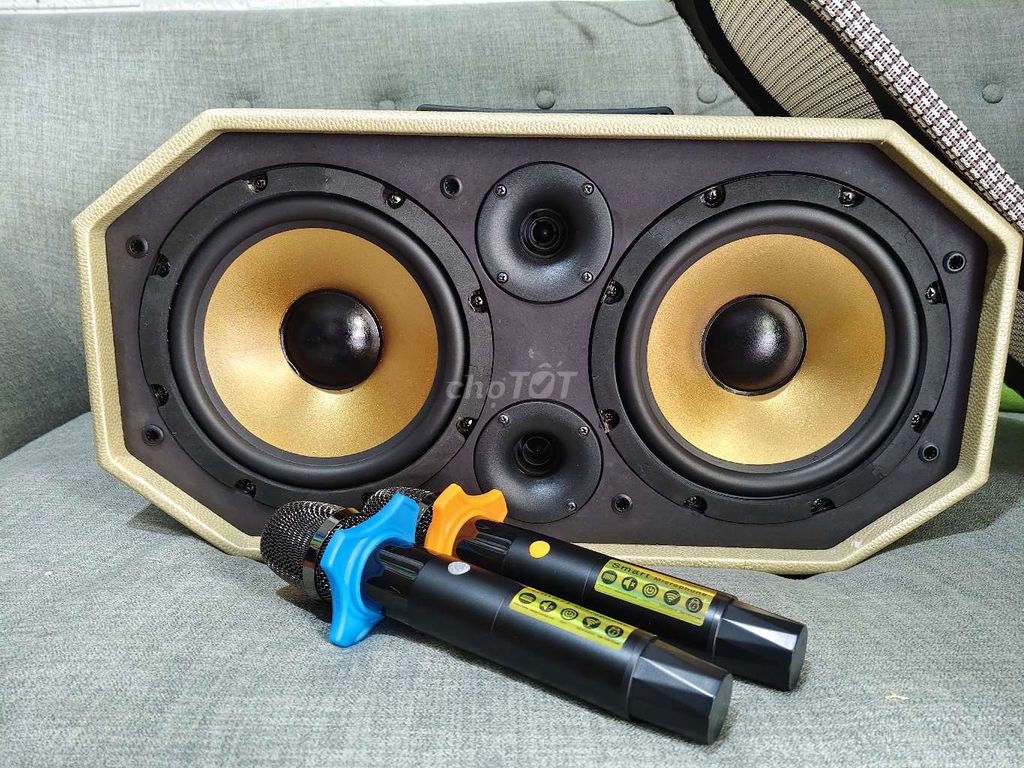 Loa karaoke GĐ bass 20cm đôi. 10 đường tiếng.