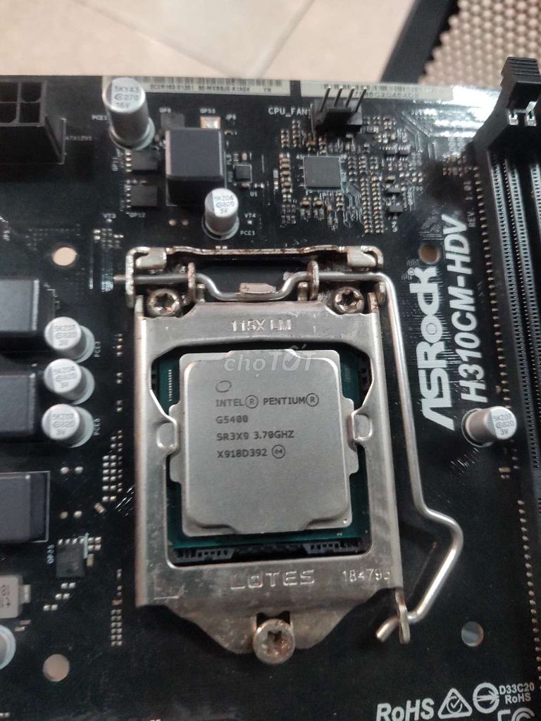 Main asrock h310