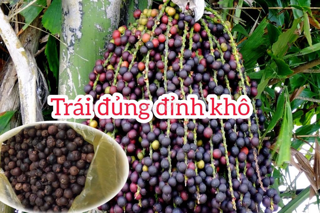 Trái đủng đỉnh 1kg. Mua bán Đồ ăn, thực phẩm và các loại khác tại Thành phố Trà Vinh Trà Vinh được đăng bởi Thanh Thanh hình 1