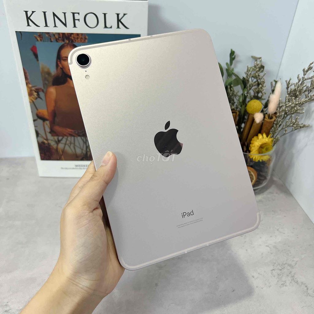 iPad Mini 6 5G 64Gb Hồng 99%