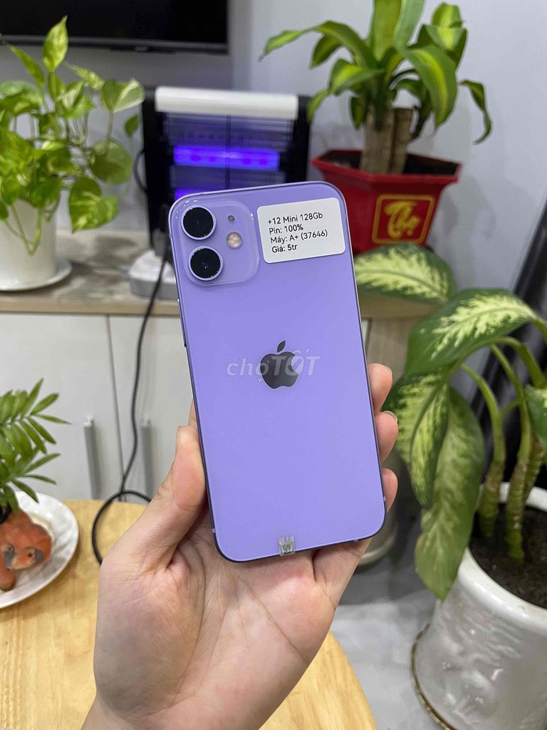 Apple iPhone 12 Mini 128GB Tím đẹp 99%. Mua bán Điện thoại tại Huyện Hóc Môn Tp Hồ Chí Minh được đăng bởi Luân Hoài hình 1