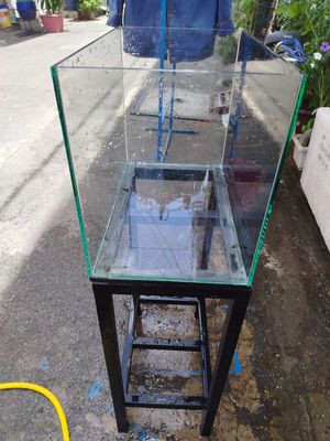 Combo hồ cá + chân sắt 40 25 30. Mua bán Phụ kiện, Thức ăn, Dịch vụ tại Quận Bình Tân Tp Hồ Chí Minh được đăng bởi Kiều Diễm