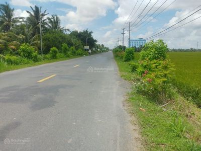 Đất đẹp mặt tiền đường nhựa 9m phù hợp an cư, kinh doanh. Mua bán đất tại Huyện Cần Đước Long An được đăng bởi Nguyễn Minh Triết 