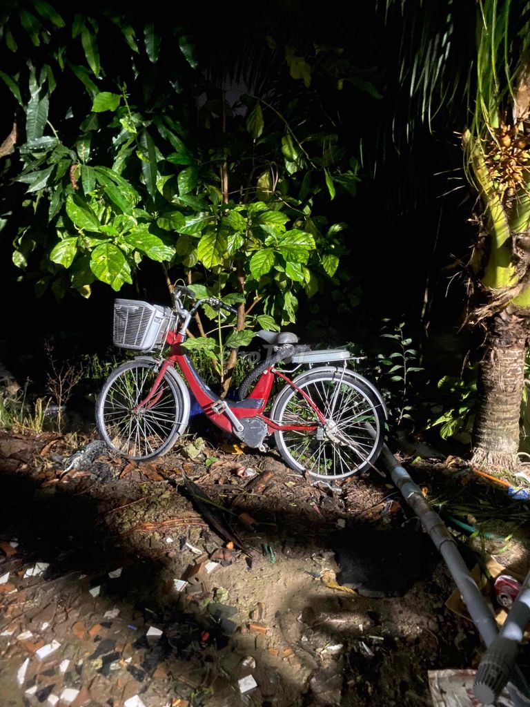 em cần bán 3 chiếc xe dạp. Mua bán Xe đạp tại Huyện Châu Thành Kiên Giang được đăng bởi hoang báo  hình 5