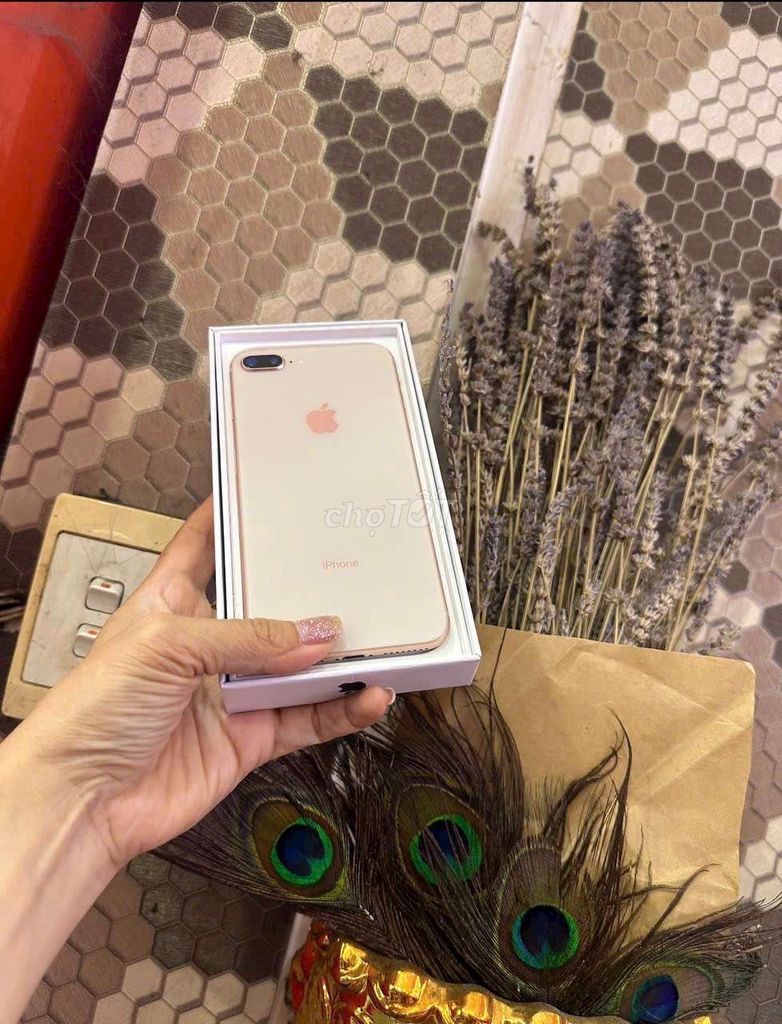 iPhone8plus 256gb gold qtế mỹ pin 96% zin áp suất. Mua bán Điện thoại tại Quận 3 Tp Hồ Chí Minh được đăng bởi Nam Á Mobile hình 1