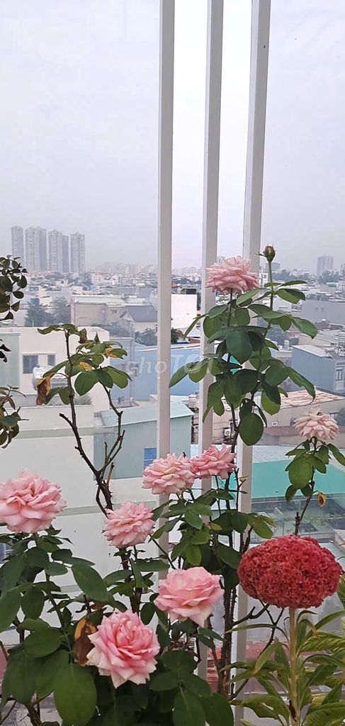PHÒNG TRỌ XÂY MỚI