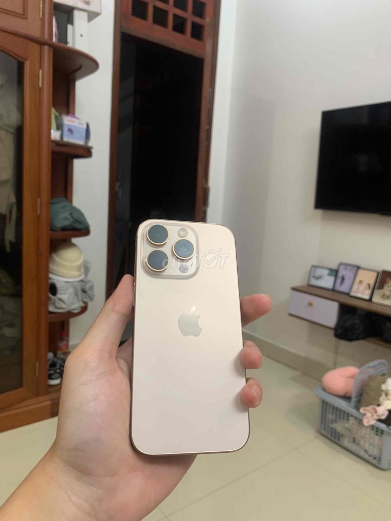 Apple iPhone 16 Pro 128GB Vàng. Mua bán Điện thoại tại Huyện Hướng Hóa Quảng Trị được đăng bởi Nguyen Duy hình 1
