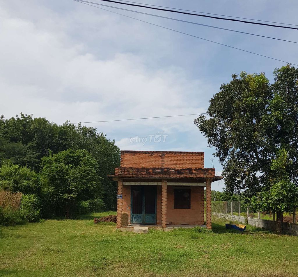 Chính chủ cần bán 28/7, Đường 722, Ấp Ràng, Xã Trung Lập Thượng, Huyện Củ Chi, Tp Hồ Chí Minh Huyện Củ Chi Tp Hồ Chí Minh