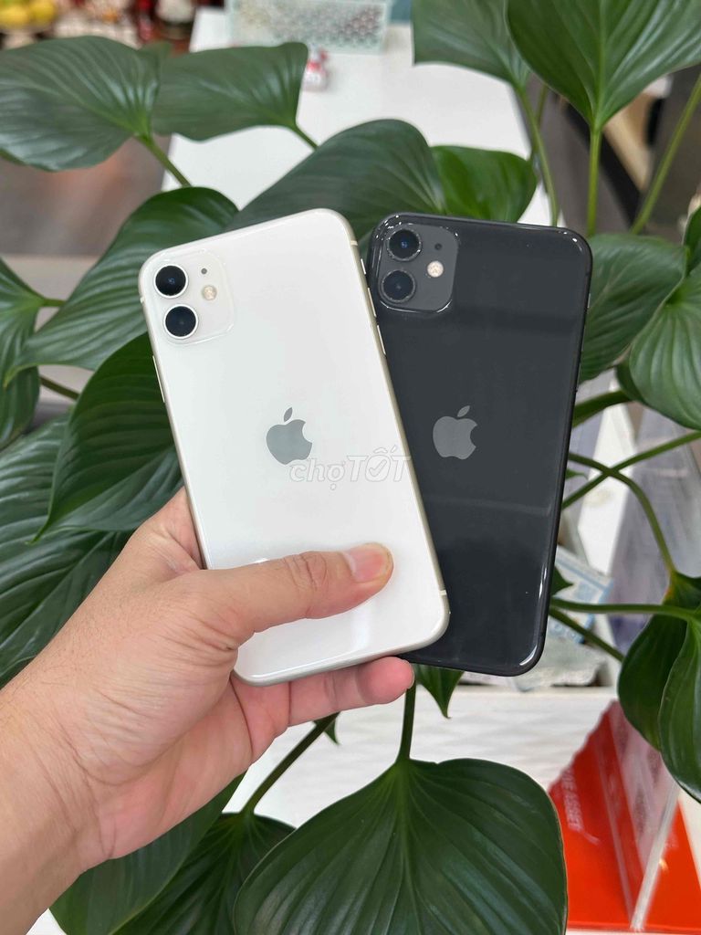 IPhone 11 64GB Trắng-Đen VN Pin 8x zin đẹp 98%. Mua bán Điện thoại tại Quận Ninh Kiều Cần Thơ được đăng bởi Quý Mobile Cần thơ hình 1