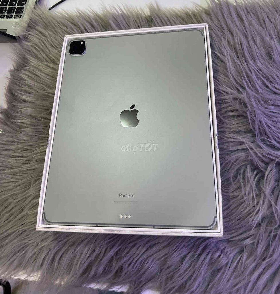 iPad Pro M4 13 inch 256 5G,Pin 100% bh 8/2025