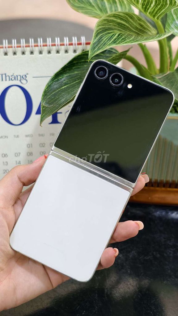 Samsung Z Flip5 512GB Vn 99%. Mua bán Điện thoại tại Quận 10 Tp Hồ Chí Minh được đăng bởi Mon Store hình 1