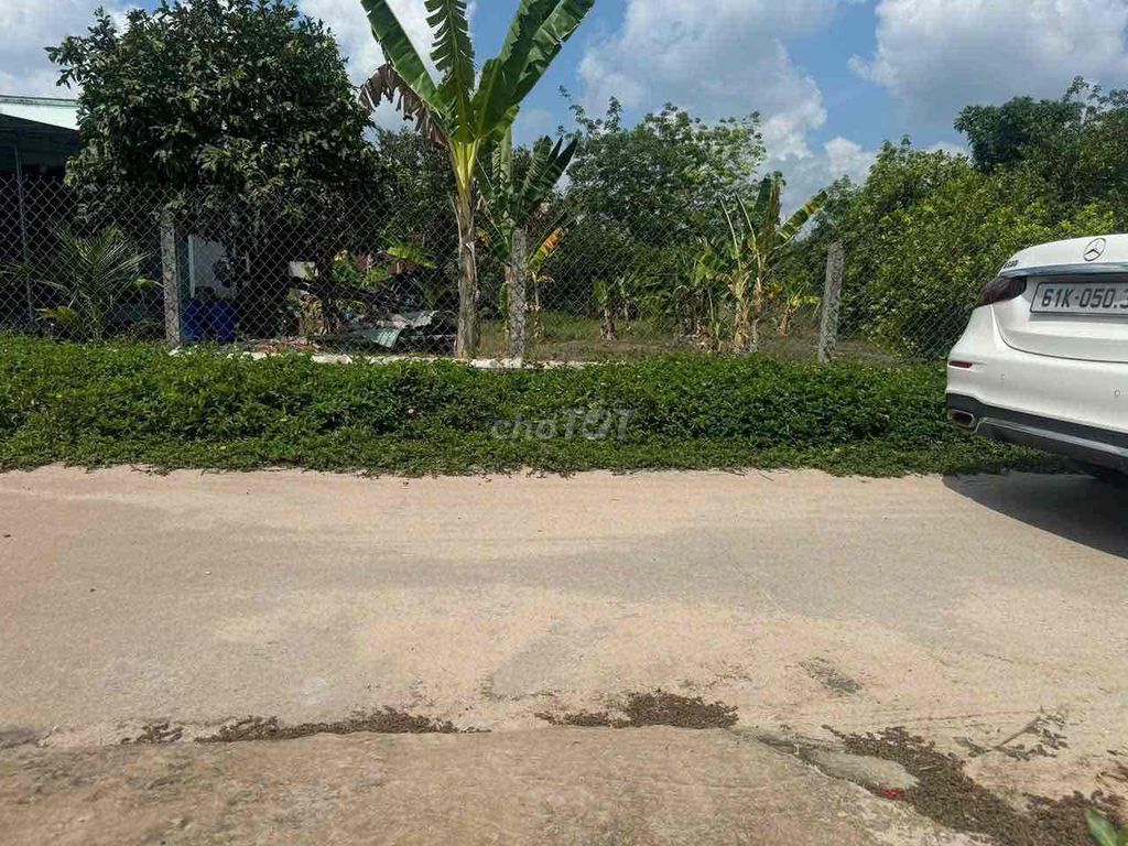 ( Chuẩn giá- Chuẩn ảnh thực tế) Minh Tân -250m2 hàng hiếm 480tr. Mua bán đất tại Huyện Dầu Tiếng Bình Dương được đăng bởi Mẫn Nhi hình 1