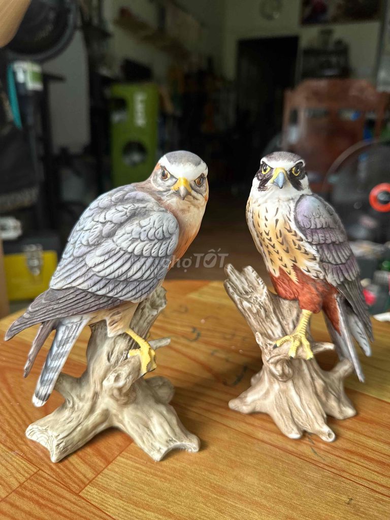 Tượng trang trí Maruri Chim Merlin. Mua bán Đồ sưu tầm, đồ cổ tại Thành phố Biên Hòa Đồng Nai được đăng bởi đặng quang tuyến hình 1
