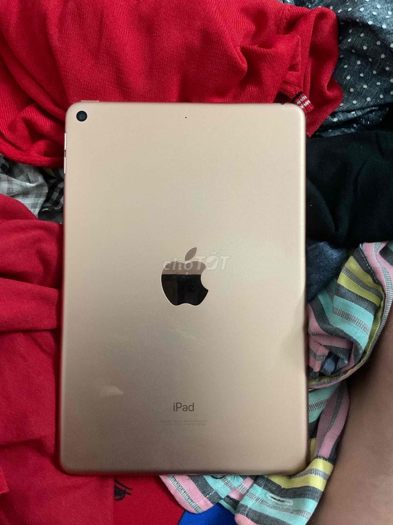 Pass máy ipad mini 5 64gb ios 16.3 ảnh có ttin may