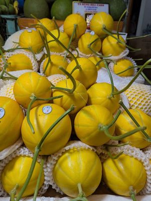 Dưa lê Hàn Quốc. Mua bán Đồ ăn, thực phẩm và các loại khác tại Quận 1 Tp Hồ Chí Minh được đăng bởi Nguyen Hung