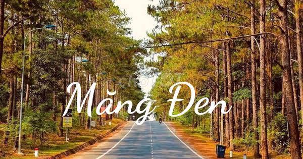 Tour Măng Đen 3N2Đ Đà Nẵng| DANAGO Travel. Du lịch tại Quận Ngũ Hành Sơn Đà Nẵng được đăng bởi DANAGO Travel ™ hình 1
