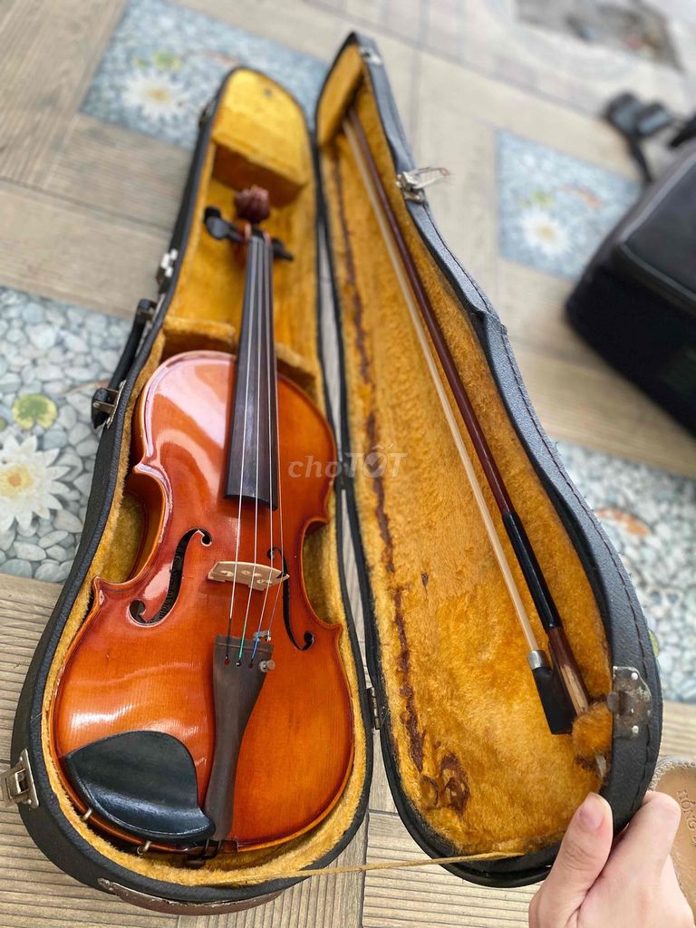 đàn violin suzuki no:8