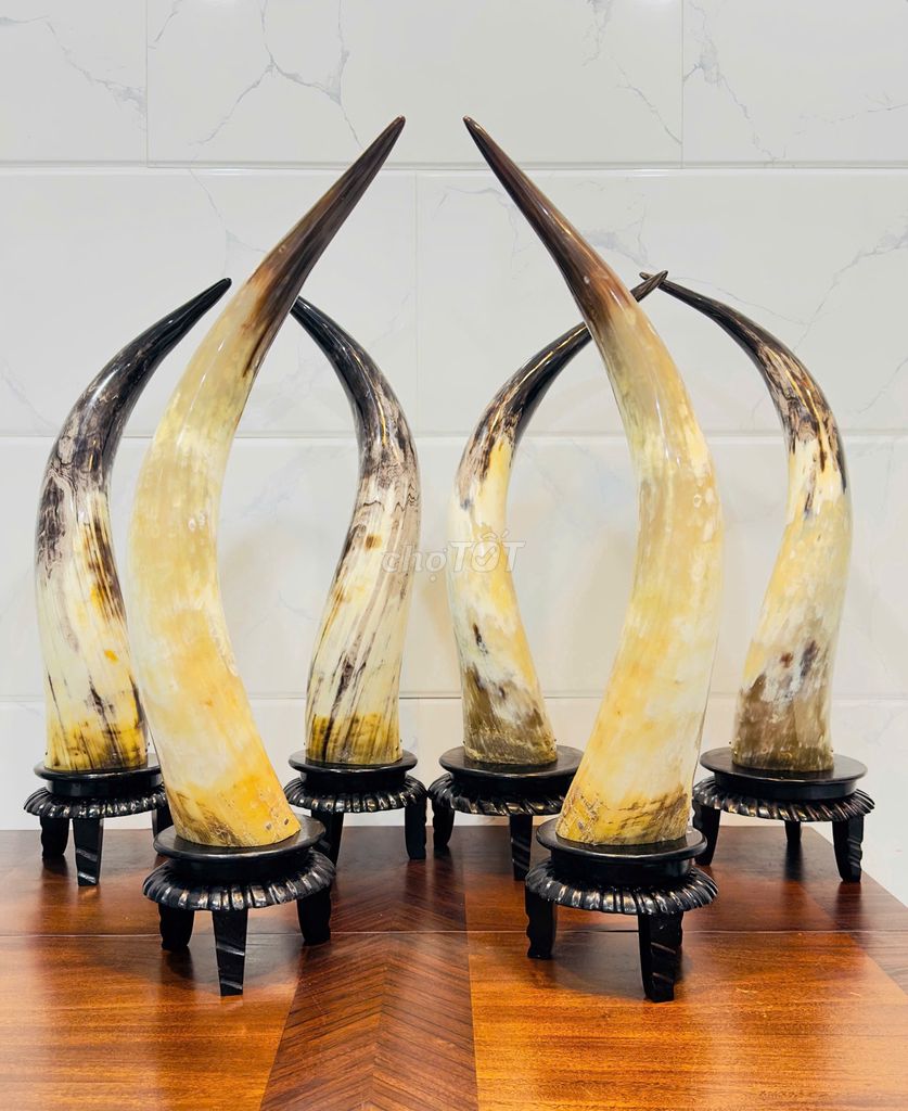 Cặp lộc trang trí cực đẹp. Mua bán Cây cảnh, đồ trang trí tại Quận Tân Bình Tp Hồ Chí Minh được đăng bởi Đạt hình 1