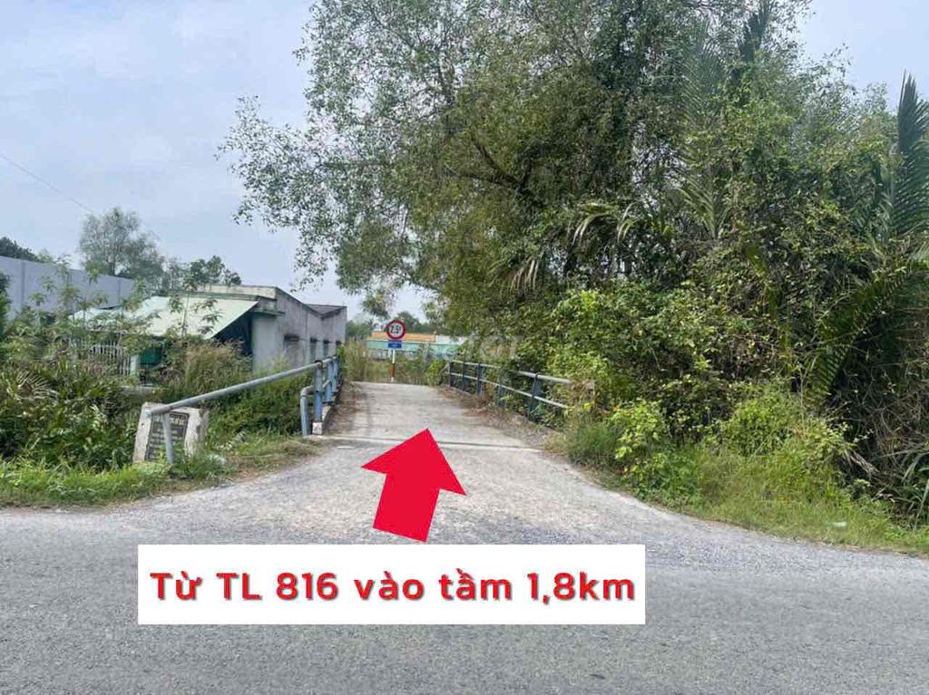 1000m2 đang trồng tắt, dt đẹp cách đg biện Cung 150m