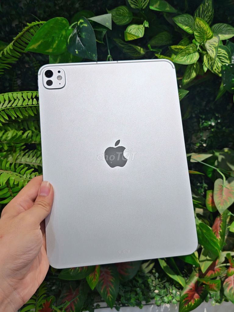 iPad Pro M5 11" 256GB 5G P100 Đẹp Keng BH 11/26. Mua bán Máy tính bảng tại Quận Phú Nhuận Tp Hồ Chí Minh được đăng bởi Hoàng hình 1