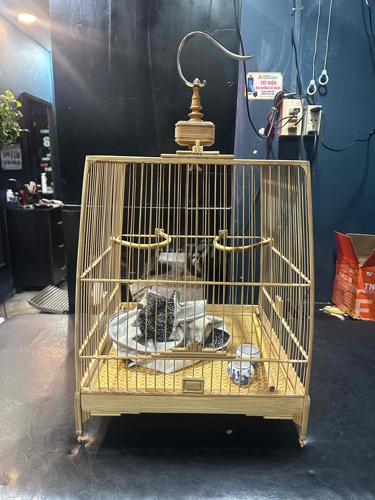 thanh lý lòng tre. Mua bán Chim tại Quận Bình Tân Tp Hồ Chí Minh được đăng bởi Nam Phương hình 1