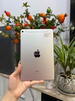 Apple iPad Mini 5 Wifi + 4G 64GB Trắng