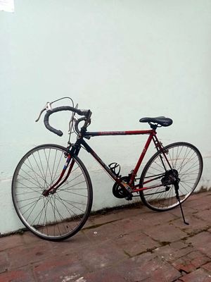 Xe đạp cuốc nhật sanbcroprince
