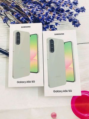 Galaxy A56/VN Mới 100% fullbox nguyên seal BH 12T. Mua bán Điện thoại tại Thành phố Huế Thừa Thiên Huế được đăng bởi Chuyên Hàng Công Ty Giá Rẻ FPT Và TGDD