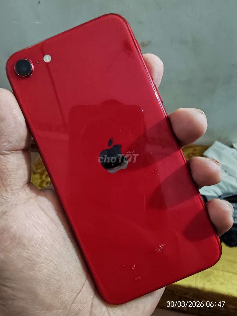 Apple iPhone SE 2020 64GB Đỏ Đã sử dụng. Mua bán Điện thoại tại Huyện Long Thành Đồng Nai được đăng bởi Stephen hình 1