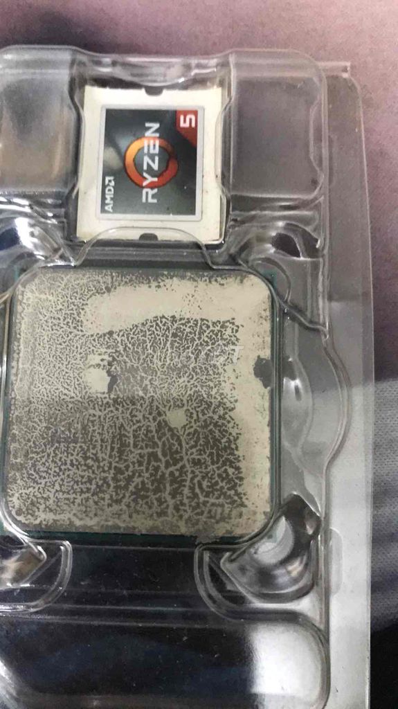 cpu amd 3000g