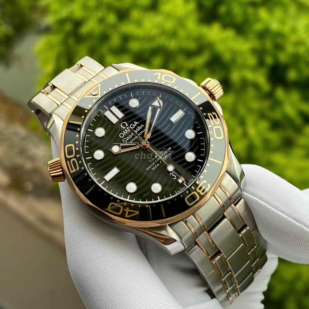 Omg Seamaster 210.20.42.20.01.001 Diver 300M Maste